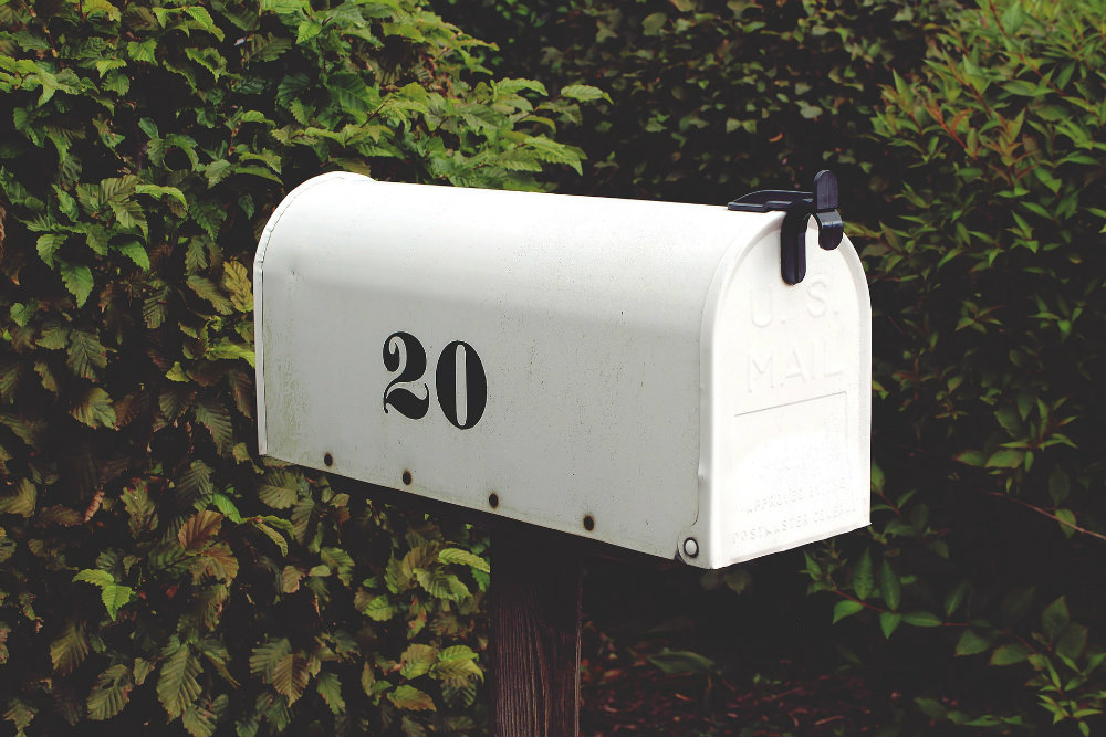 Mail Theft | Mailbox & Bushes