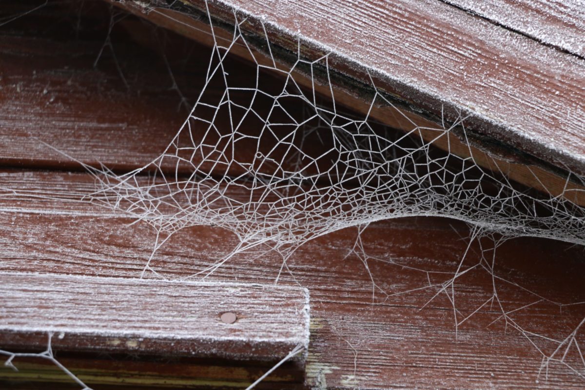 Dusting Digital Cobwebs – E-Spring Cleaning Tips